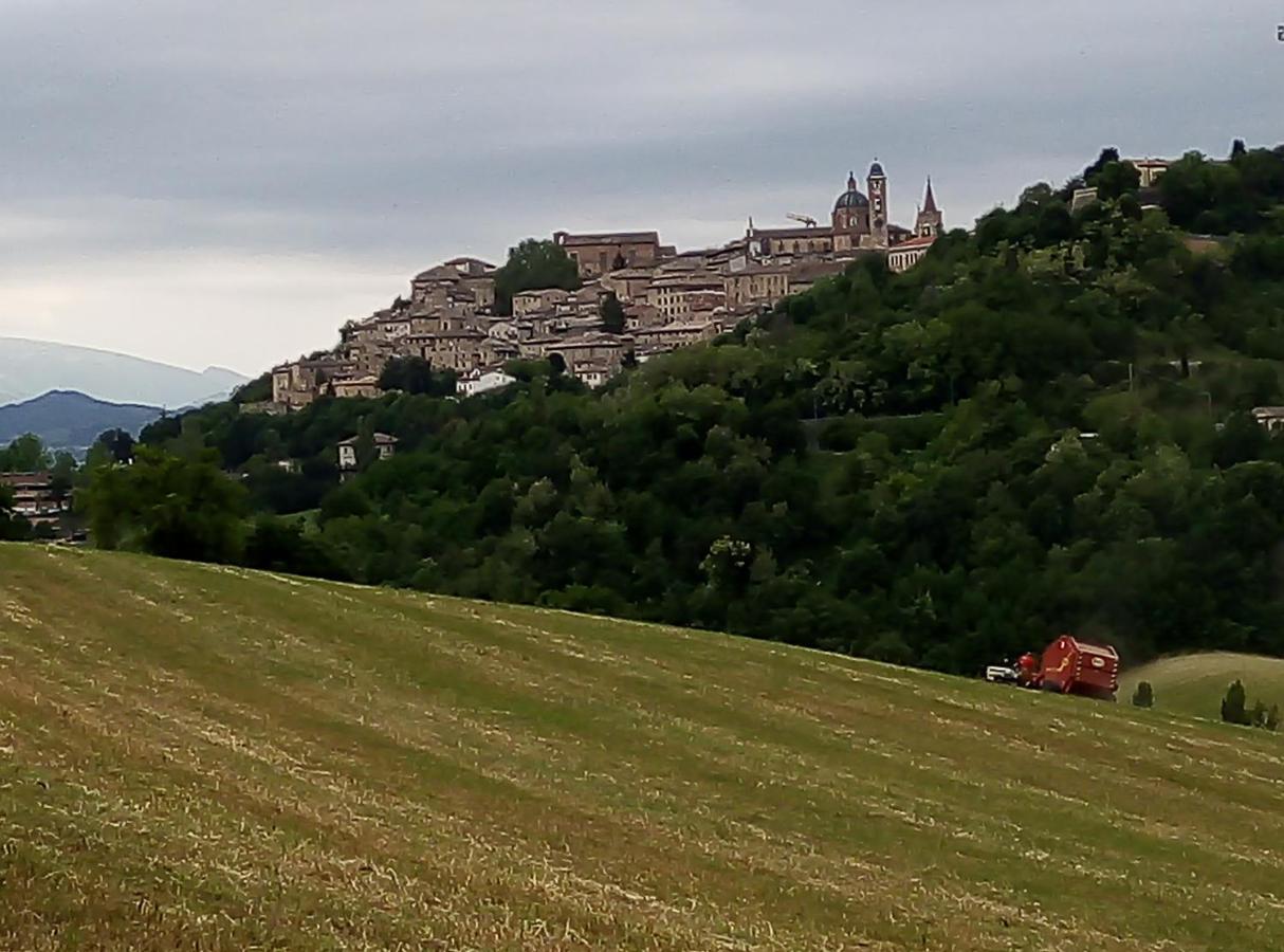 Il Monchetto * Urbino